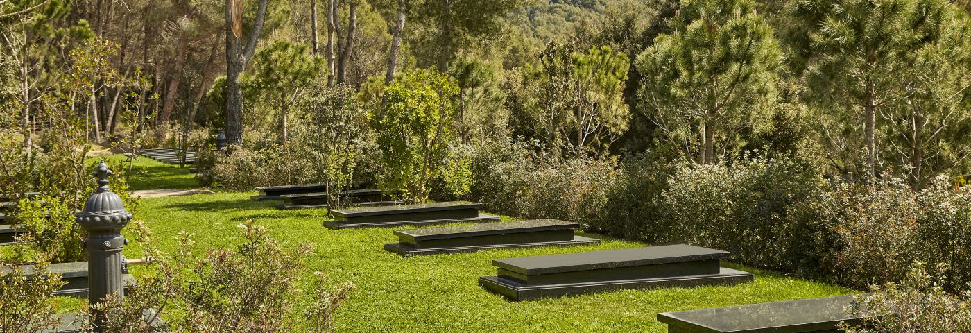 qué hacer con cenizas de un difunto