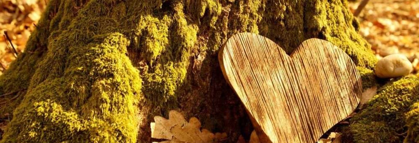 diferencia inhumacion y cremacion