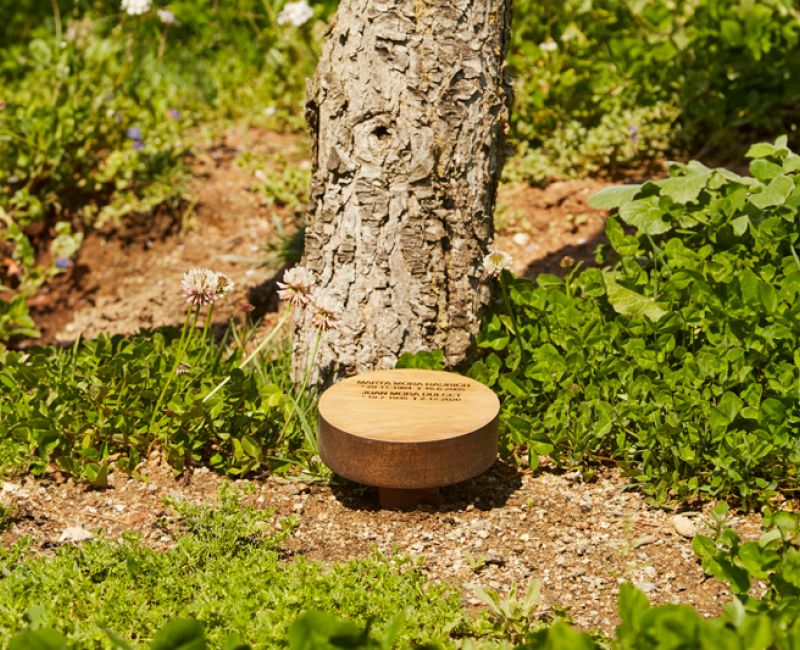 Arbre familiar al cementiri comarcal roques blanques