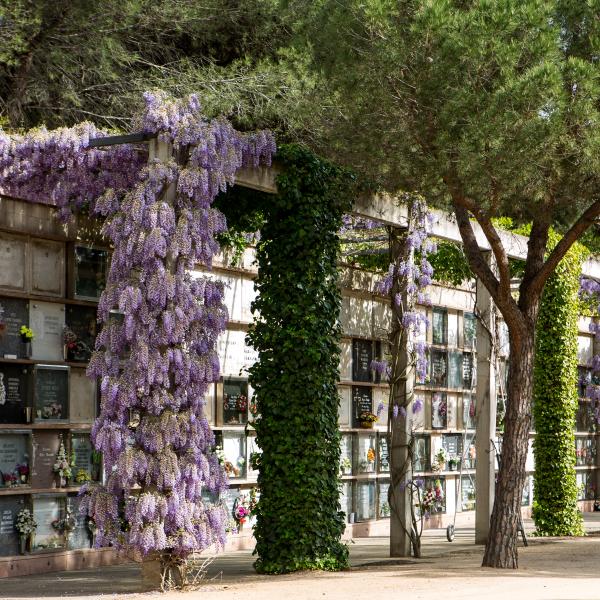 nichos roques blanques