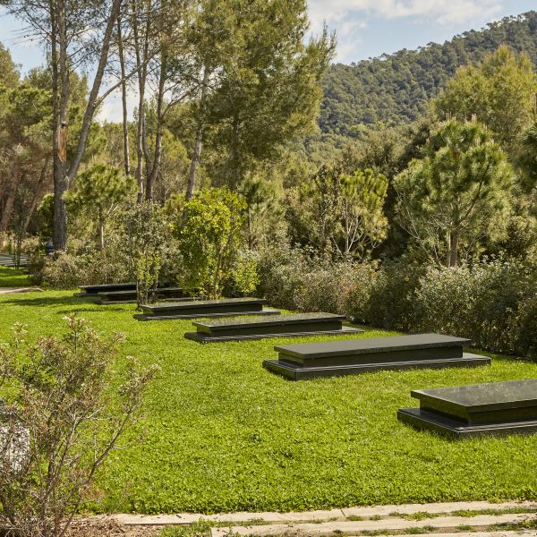 qué hacer con cenizas de un difunto