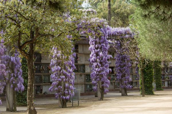 Nichos de cementerio: tipos y precios