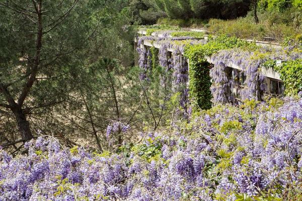 Cementerio Natural Roques Blanques