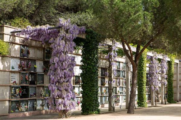 Cementerio Natural Roques Blanques