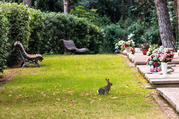 Fauna local del parc natural del papiol al Cementiri Comarcal Roques Blanques