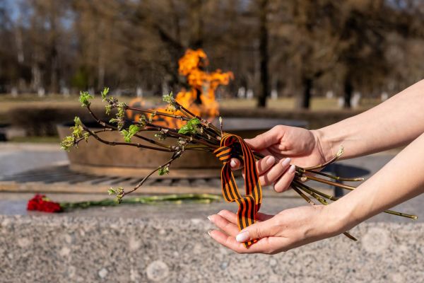 incineración cementerio